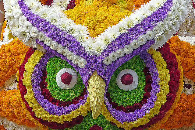 La Batalla de las Flores de Laredo, una fiesta colorida | HCMN