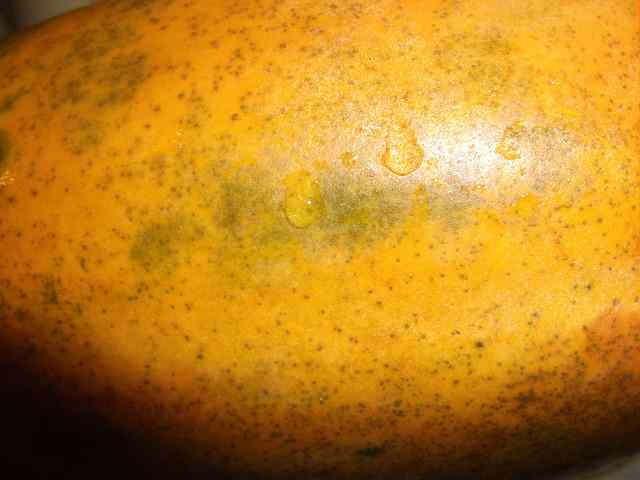 propiedades papaya