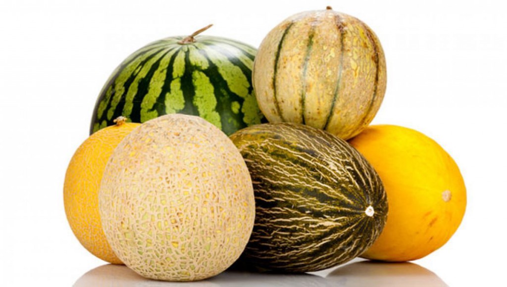 Variedades de melón | HCMN