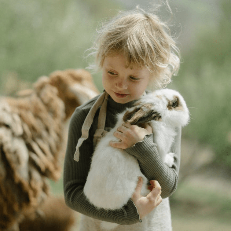 Tareas niños con sus mascotas | HCMN