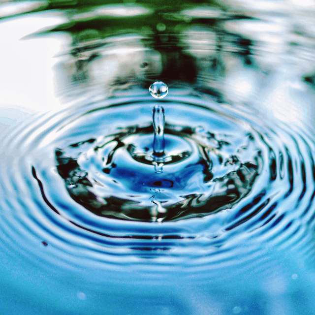 cuidar del agua | HCMN